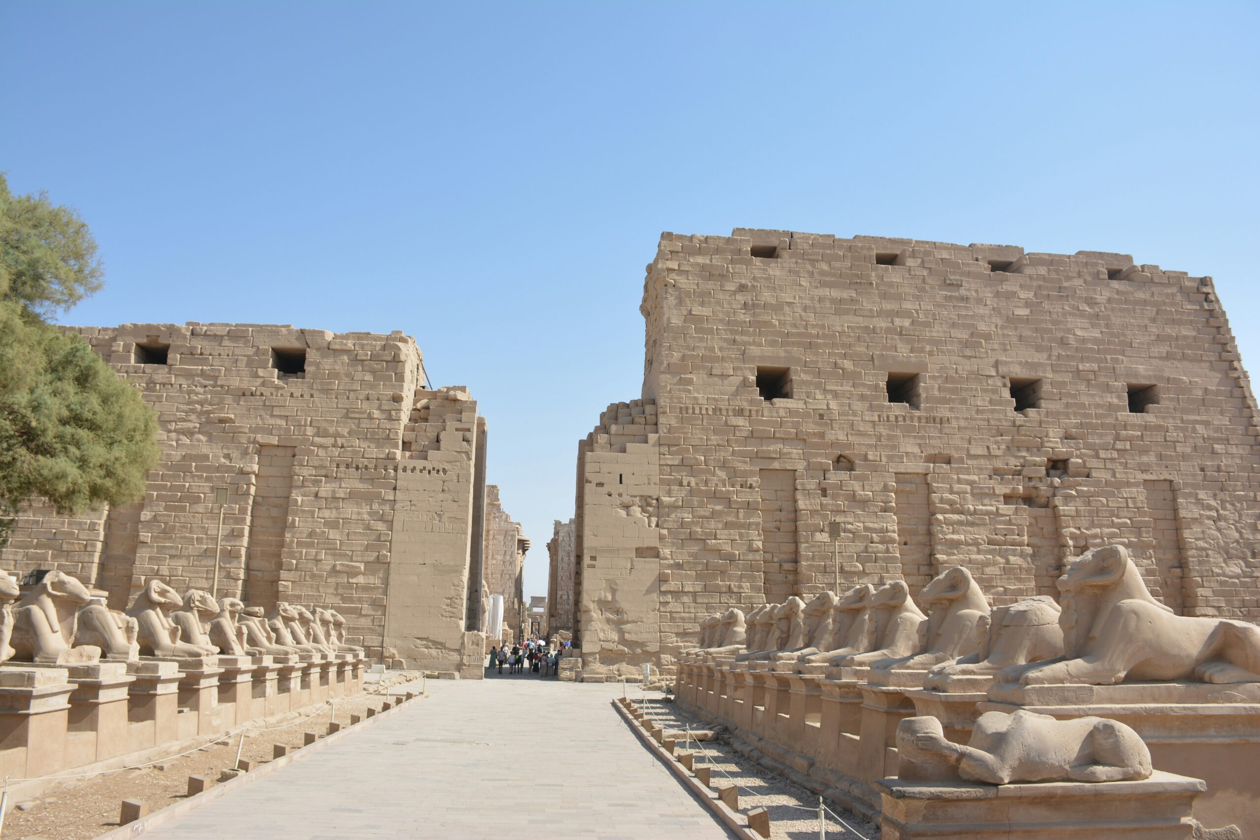 Karnak & Luxor Temples Tour